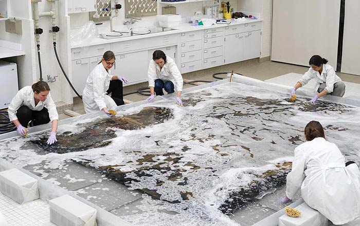 A group of textile conservators wearing white lab coats and purple gloves use sponges to wash a tapestry in their lab